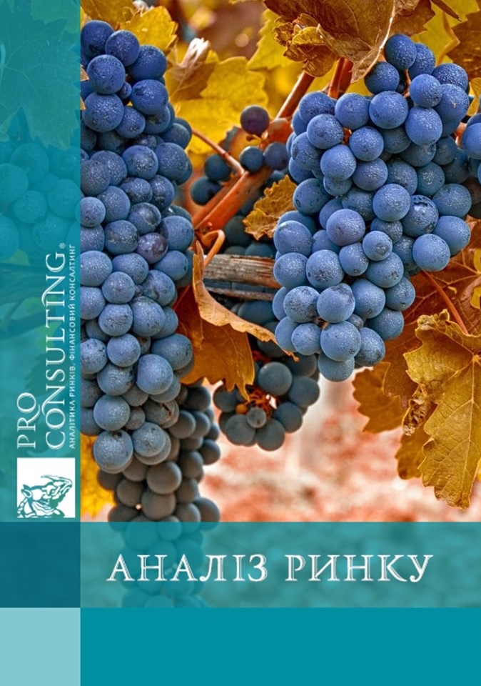 Аналіз українського ринку виноматеріалів. 2013 рік